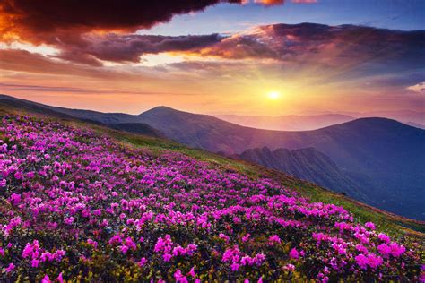  ¡Sumérgete en la Historia y la Naturaleza del Valle de las Flores en Ningde!