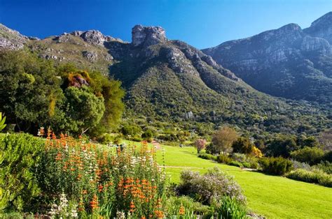 ¡Sumérgete en la historia y la naturaleza en el Jardín Botánico Nacional Kirstenbosch!