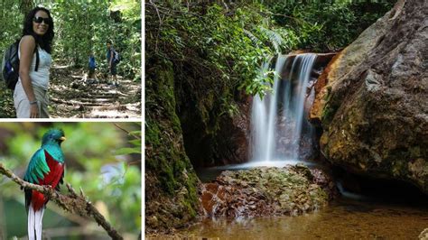  El Parque Nacional de la Montaña del León ¡Un Refugio Salvaje para Aventureros Emplumados!