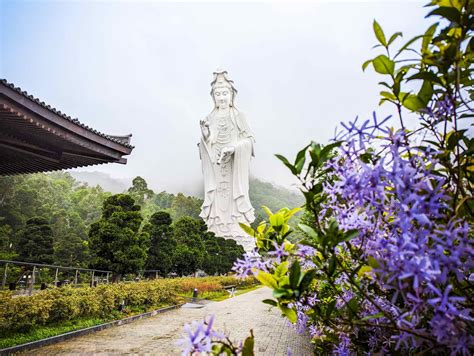 ¡El Templo de Kuaiji Shan: Un Santuario Histórico en lo Alto de la Montaña!